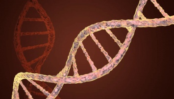 Ученые впервые отредактировали ДНК эмбриона в утробе матери