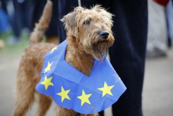 В Лондоне прошел "собачий" протест против Brexit