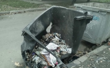 В Запорожье массово сожгли мусорные контейнеры (ФОТО)