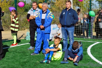 В Николаевском районе открыли футбольное поле с искусственным покрытием