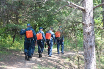 Более 800 человек спасли сотрудники МЧС Крыма в период курортного сезона 2018 года