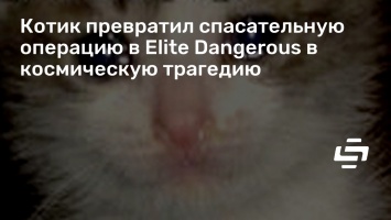 Котик превратил спасательную операцию в Elite Dangerous в космическую трагедию