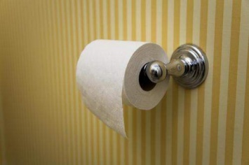 Есть только 1 способ правильно вешать туалетную бумагу! Вот он