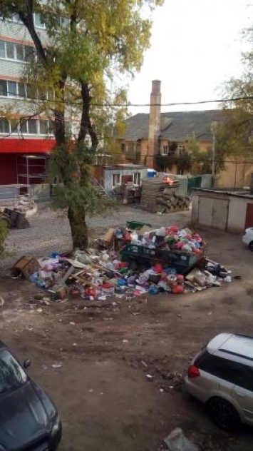 Жители Воронежа превратили двор аварийного дома в помойку