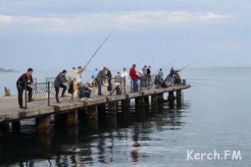 В России любительская рыбалка останется бесплатной