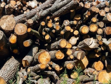 В ЕС с удовольствием покупают украинский лес-кругляк под видом "топливных дров" - Сэм Лоусон