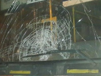 Водитель резко дал по тормозам: в Днепре женщина головой разбила лобовое стекло