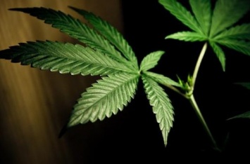 В Канаде полностью легализовали марихуану