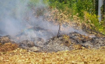 Экологи напомнили о вреде дыма от сожженных опавших листьев