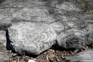 Древнейшие окаменелости на Земле оказались просто камнем