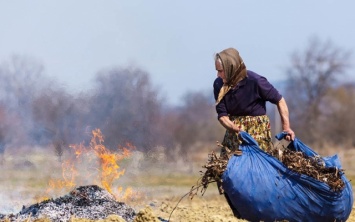 В Днепре усилили меры по борьбе с поджигателями листьев