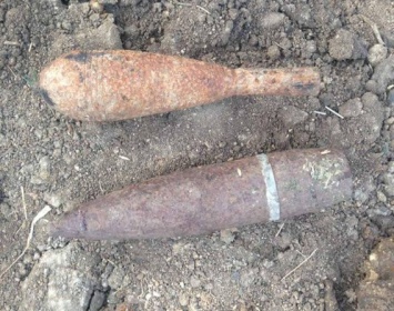 В Николаевской области на пастбище нашли мину и снаряд