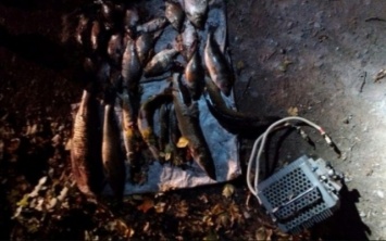 На Днепропетровщине браконьеры ловили рыбу электроудочкой
