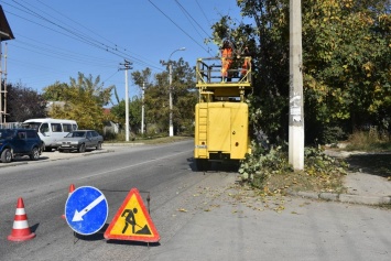 На улицах Симферополя продолжается обрезка деревьев