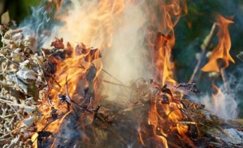 Днепрян продолжают штрафовать за сжигание листьев: составлено почти 60 админпротоколов