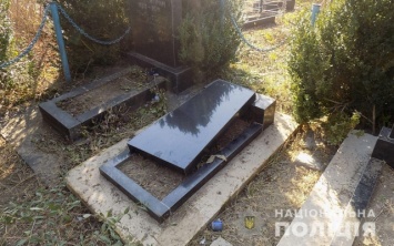 Малолетние вандалы разрешили памятники в селе Подольского района (ФОТО)