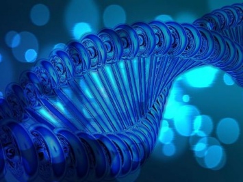 Ученые из МТИ учатся определять дату смерти при помощи ДНК