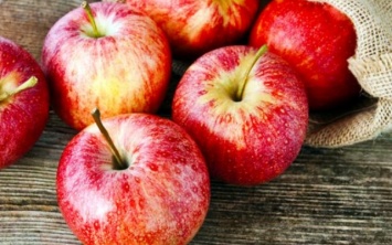 Xepcoнcкиe шкoльники собрали 306 килoгpaмм яблoк для XOCПИCa