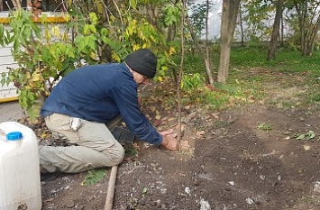 Озеленительные курьезы: в Бердянске людей, которые высаживали деревья, пытались привлечь к админ ответственности