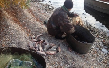 Инспекторы отдела охраны водных биоресурсов Бериславского района изъяли у браконьера 20 килограмм рыбы