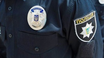 В Запорожской области все чаще бьют полицейских