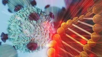 Ученые впервые "перепрограммировали" иммунитет на борьбу с раком