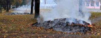 «Не сжигайте!» - в Николаеве рассказали, что делать с опавшей листвой