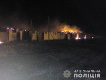 Крупным пожаром под Харьковом заинтересовалась полиция (фото)