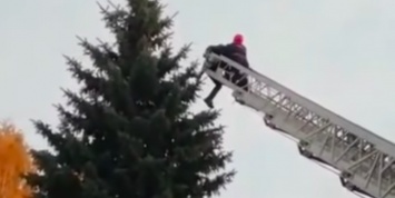 Иностранный студент залез на верхушку тамбовской ели, снимать его пришлось спасателям