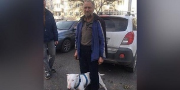 Отправившийся с псом на прогулку пенсионер вышел из тайги спустя три недели