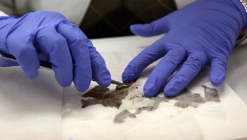 Пять фрагментов свитков Мертвого моря в американском музее оказались подделкой