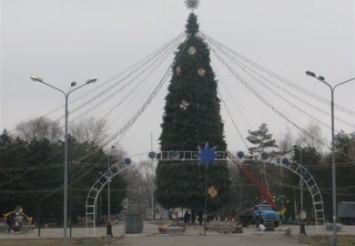 Сколько будет стоить новогодняя елка в парке Глобы в Днепре?