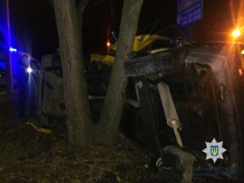 Пьяный водитель впечатал машину в дерево (фото)