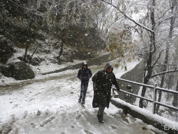 В Индии впервые за 10 лет выпал снег