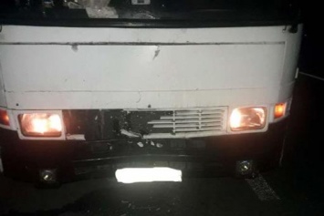 Автобус с пассажирами, следовавший на Киев, насмерть сбил человека