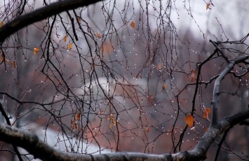 Синоптик предупредила об изморози и тумане, которые в Украину принесет циклон