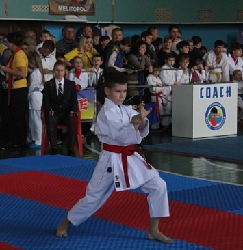 В бердянском Дворце спорта состоялся областной чемпионат по карате
