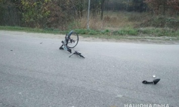 Под Львовом в ДТП погибли велосипедист и мотоциклист