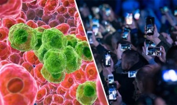 «Предупреждение о раке»: Ученые нашли «четкие доказательства» влияния смартфонов с 3G на развитие опухолей