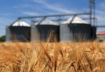 Украинский аграрный экспорт в страны ЕС превысил $4,1 млрд