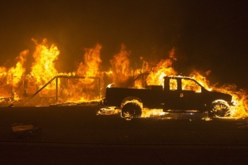 Пять человек погибли, 150 тысяч покинули дома из-за лесного пожара в Калифорнии