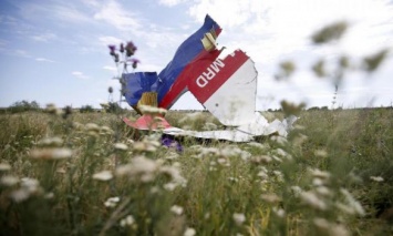 Семьи погибших в катастрофе MH17 просят Трампа повлиять на Путина
