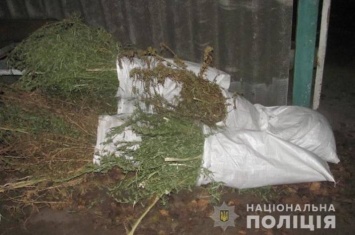 В Северодонецке полицейские изъяли у местного жителя 2 кг марихуаны
