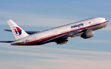 Причиной гибели 239 человек в крушении малазийского лайнера могли стать хакеры