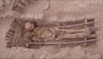 ДНК самой древней естественной мумии в мире расшифровали ученые