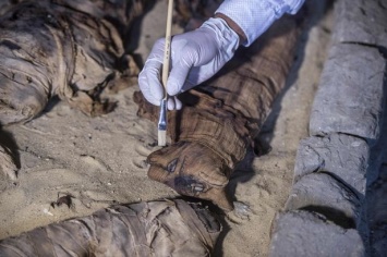 В Египте археологи раскопали древнюю коллекцию мумий кошек