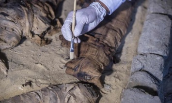 В Египте обнаружили гробницы с мумиями кошек и скарабеев