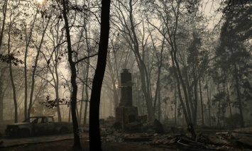 Количество погибших от лесных пожаров в Калифорнии возросло до 23