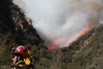 В сети показали устрашающие фото масштабного пожара в Калифорнии, снятые спутником
