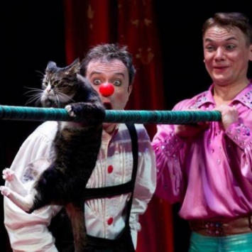 Театр кошек Куклачева приносит ему ежедневный доход в 200 тыс. рублей